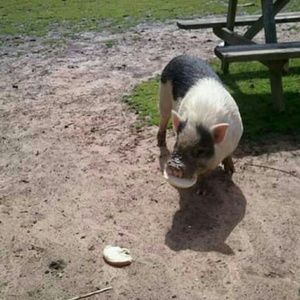 Meet your Posher, Mary ann